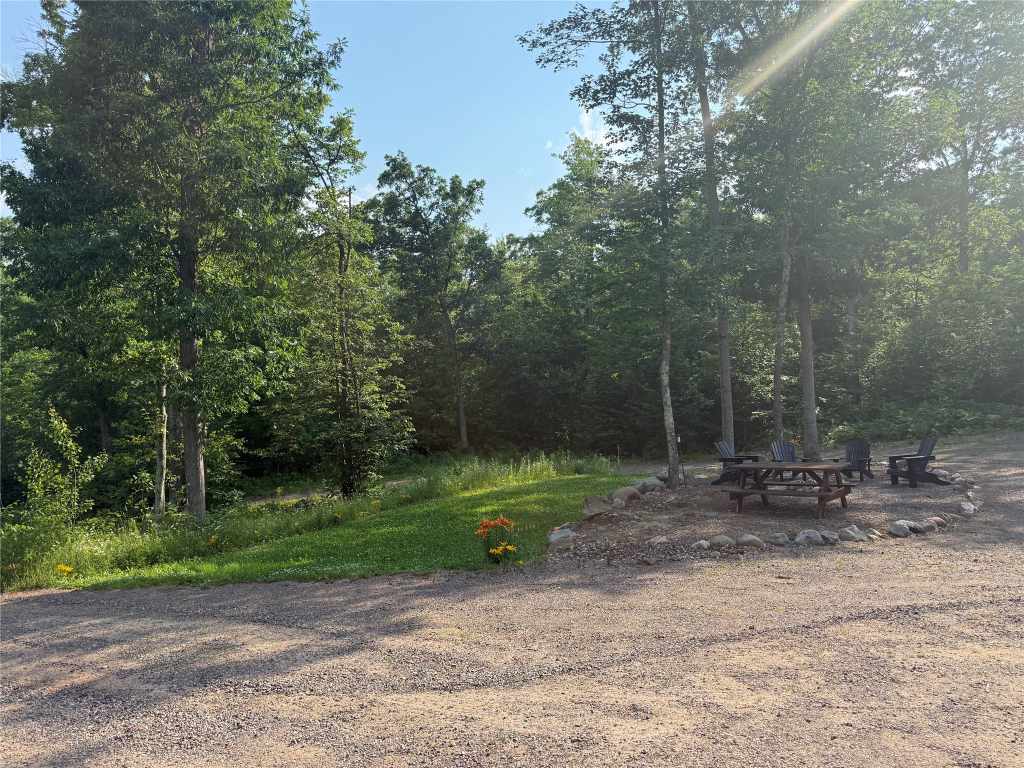 Wooded outdoor gathering area