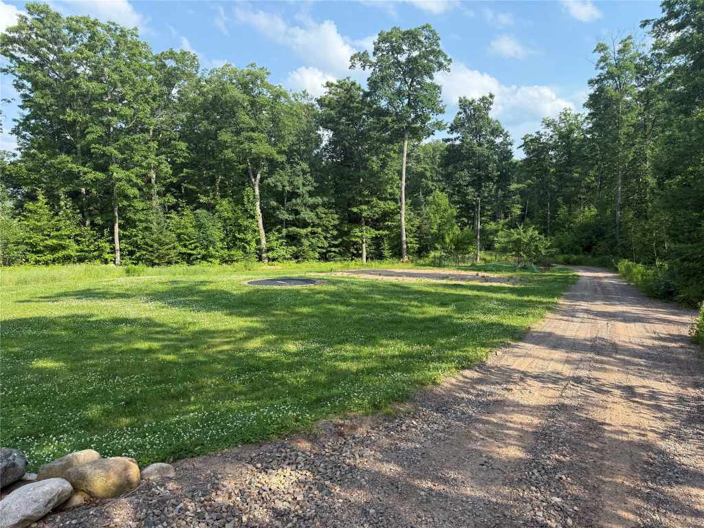 Lawn and winding driveway through the trees