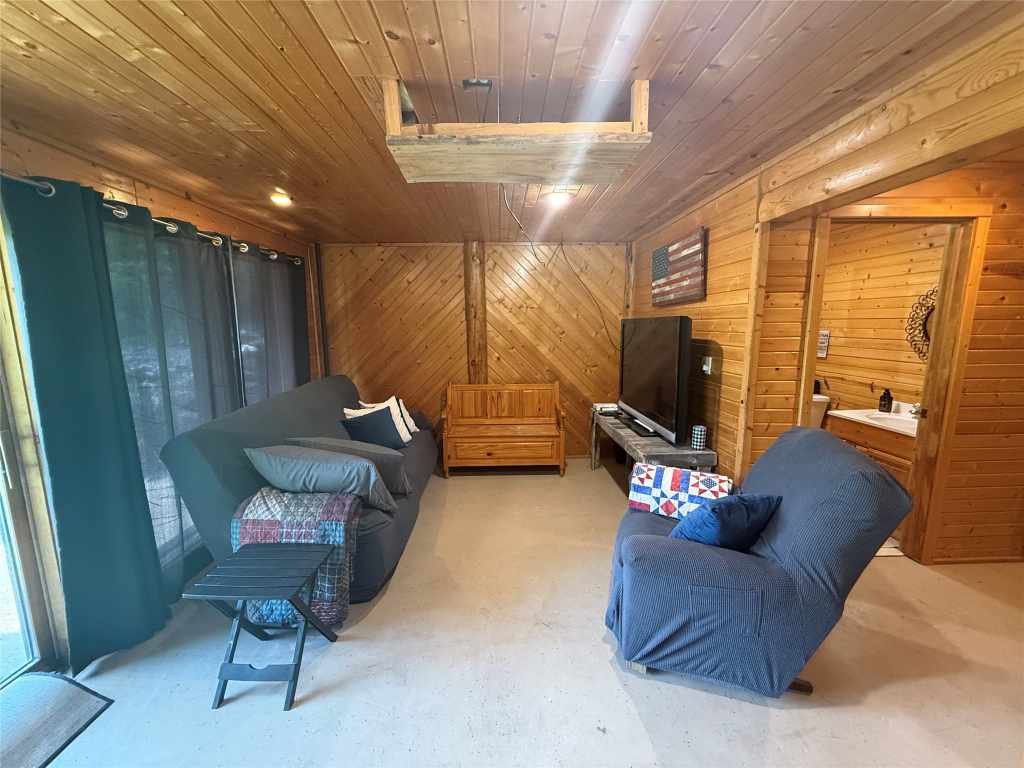 Lower-level television room